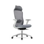 CP-M Ergonomic Chair