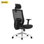 Dorzal Ergonomic Chair (Rich Black)