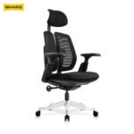 DuoSplit Ergonomic Chair (Midnight Black)