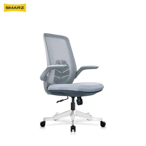 Monzera (Pewter Grey)