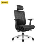 Dorzal Max Ergonomic Chair (Black Phantom)